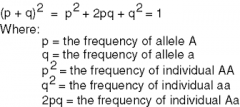 Principle
that states the allele frequencies in a population remain constant unless one
or more factors cause those frequencies to change. 
