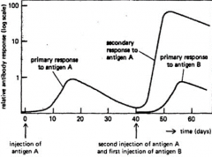 Antibody production starts off slow and then declines rapidly.
next exposure, antibody production is faster as it is already in the system. it also lasts longer. 
over time if antigen is not encountered, antibody levels will fall.
vaccines can be ...