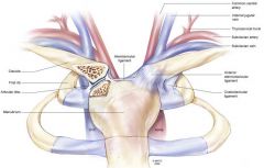 Is a saddle joint
performs multiple complex movments 
four ligament surround the joint 
Anterior and posterior sternoclavicular ligaments
Interclavicular ligament 
Costoclavicular ligament 

