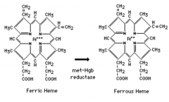 Iron in the ferric (+3) state

							
						
					
				
			
		
	


Hgb molecule changes and O2
affinity of other heme groups increases resulting
in Shift to the Left.
                                  