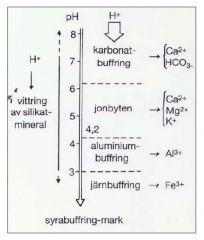 ~6-8: Karbonatbuffring.


~4-6: Jonbytessystem. (Kalcium, Mangan och Kaliumjoner tar hand om H+)


~3-4: Aluminiumbuffring


~0-3: Järnbuffring, i princip inget biologiskt liv.
