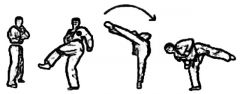 patada circular con la pierna recta (de dentro hacia fuera, bakat)