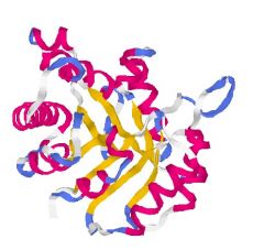2. The tertiary structure of enzymes provide their active site