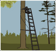 Ladder stand