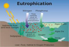 The process by which a body of water develops a high concentration of nutrients, such as nitrogen and phosphorus (natural)
