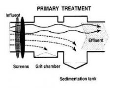 Removal of large particles and organic materials through screening
