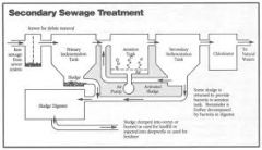 Use of biological processes to degrade wastewater in a treatment facility
