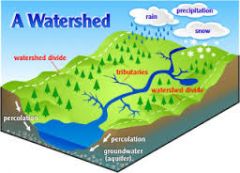 An area of land that forms the drainage of a stream or river
