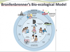 A Russian-born American Psychologist – Urie Bronfenbrenner (1917 – 2005) 



Came up with the Bio-Ecological Model (think Babushska Doll)
