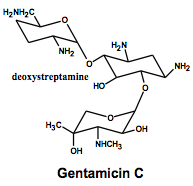 Aminoglycosides 
Kanamycin B, Gentamicin C, Amikacin, Tobramycin