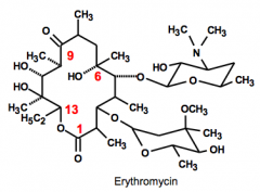 Macrolides 
Erythromycin