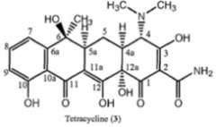 Tetracycline
Chlorotetracycline, Oxytetracycline