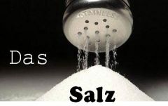 Das Salz