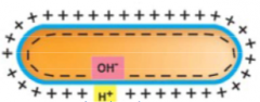 Generation and maintenance of ion gradients (e.g. proton motive force)

Use proteins on membrane to capture charges on outside of cell and bring them in