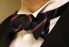 bow tie 
Cravate courte nouée en nœud plat. 33
