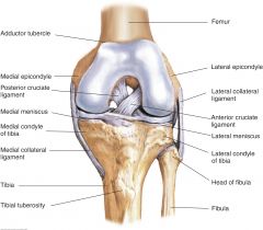 Can lead to arthritis, anterior knee pain, and patellar dislocation


 


 


 