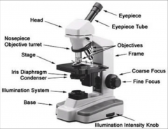 Vocab: Microscope