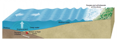 The formation of a tsunami. A vertical disruption of the ocean floor, such as from faulting, displaces the entire water column from the ocean floor to the surface. In the open ocean, the tsunami may be almost indistinguishable because of its great...