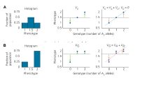 How can you tell that graph A can be explaiend by additive variation?