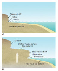 (a) A wave-cut platform develops where a coastal cliff is worn back by wave erosion. (b) A marine terrace develops when a wave-cut
platform is tectonically uplifted above sea level.