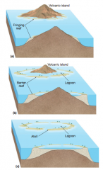 Coral reef formation around a sinking volcano: 
(a) fringing reef (b) barrier reef (c) atoll reef.