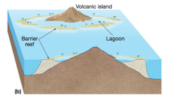 (b) As the volcano becomes dormant and begins to sink, the coral continues to grow upward over the original base, essentially a cylinder surrounding the mountain. Such a reef separated from its mainland by a lagoon is a barrier reef.

Barrier Re...