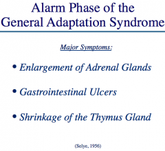 Give an example of the alarm phase of the general adaptation syndrome