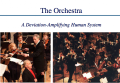 Explain why the orchestra is a deviation amplifying human system