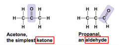            Sugars with ketone groups are called ketoses; those with aldehydes

are
called aldoses.

Compound name: Ketone or aldehyde      