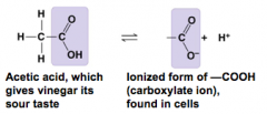 










Acts as an acid.

Compound name: Carboxylic acid, or organic acid