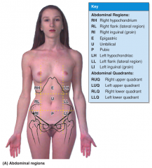 Left and Right (6)
-Hypochondriac
-Lateral (flank)
-Inguinal
Midline (3)
-Epigastric
-Umbilical
-Hypogastric (pubic)