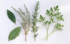 herbs