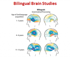 More brain activity when get older