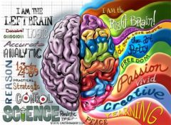 The Left Hemisphere is our more "logical" side of the brain. It deals with:
Reasoning; spoken/written language; and numerical/scientific skills.