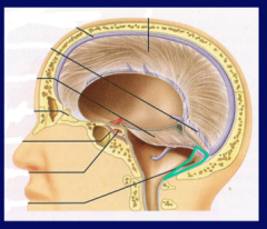The Falx Cerebelli is a small, triangular shaped process that separates the cerebellar hemispheres. 