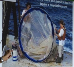Plankton Net 
for catching plankton (the huge ones are for marine plankton) 