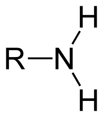 What functional group does this represent?
(Hint: notice the NH2 molecule which is an amine; the core of amine is nitrogen.)
