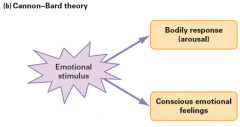 Stimuli simultaneously evoke emotions and arousal, and neither cause the other