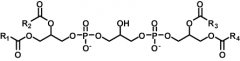CL synthesis
 
CDP-DAG + Phosphatidyl glycerol -->
 
Cardiolipin + CMP