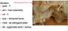 - ant- max tuberosity
-sup- temporal bone
- med- lateral pterygoid plate
-lat- zygomatic arch/ramus