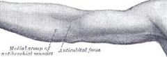 pertaining to the anterior surface of the elbow