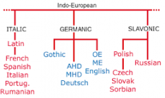 A collection of languages related through a
common ancestor that existed several thousand years ago.
Differences are not as extensive or as old as with language families,
and archaeological evidence can confirm that the branches derived
from the s...