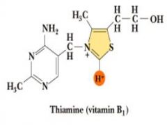 thiamine pyrophosphate (TPP) is the active form. it is involved in carbohydrate metabolism
