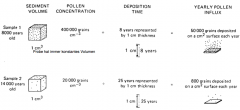 Prozente! -> Pollenprozent-Diagramme
Aber auch Konzentrationen und Influx (Anzahl Pollen pro cm2 pro Jahr)