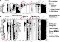 Mittel Pleistozän - Bilshausen Warmphase 
MIS 11 (evtl. 13), Dauer 25‘000 Jahre, vor ca. 400‘000 Jahren

Sediment = Tone

Holzmaar -> Bilshausen = 290 km