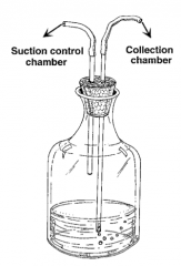 One way valve


- Allows air to be removed from the pleural space


- Does not allow air to enter pleural cavity


- Connects to the suction control bottle and to the collection chamber