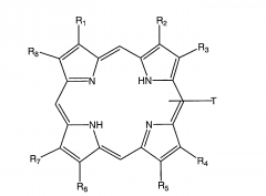 The different substituents off of the pyrrole rings in the larger porphyrin ring.
