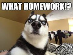 Can you help me with my homework?