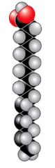 - has no carbon-carbon double bonds, which allows them to have the maximum amount of hydrogens