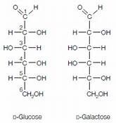 How are these molecules related to each other?